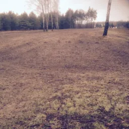 był las, niema lasu , efekt końcowy pracy ; wycinka , mielenie gałęzi i mulczer leśny