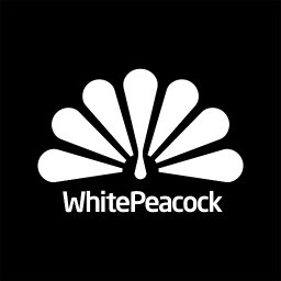 R & D Robert Sulej - Opracowanie znaku graficznego, logo.