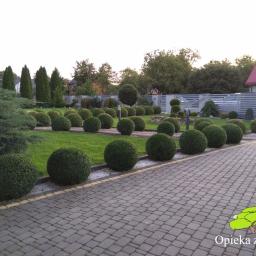 Pielęgnacja ogrodów Lublin 21