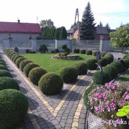 Pielęgnacja ogrodów Lublin 20