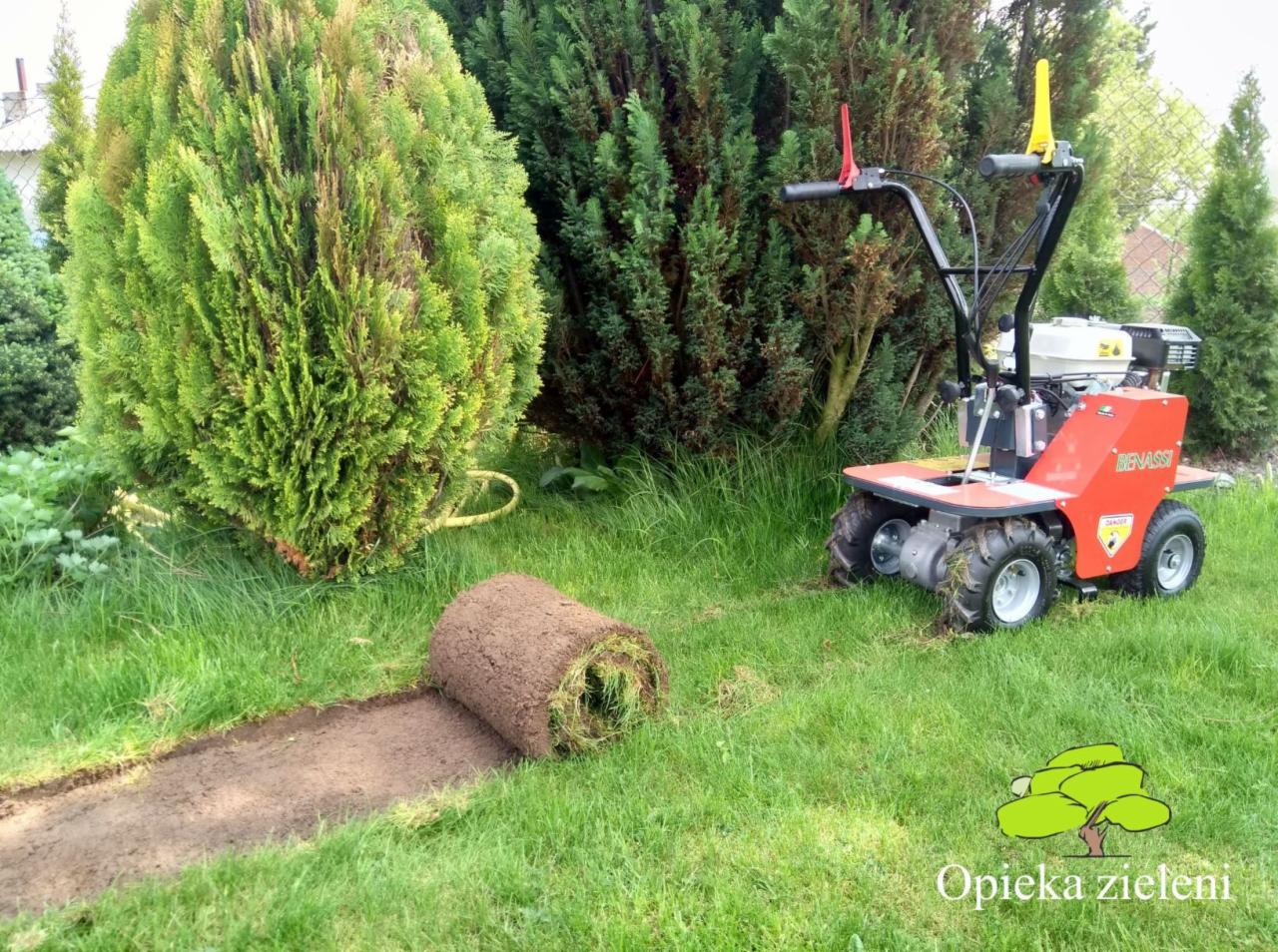 Rozwinięta rolka trawy na przygotowanym podłożu, obok czerwona maszyna do rozkładania trawy, w tle krzewy i drzewa iglaste.