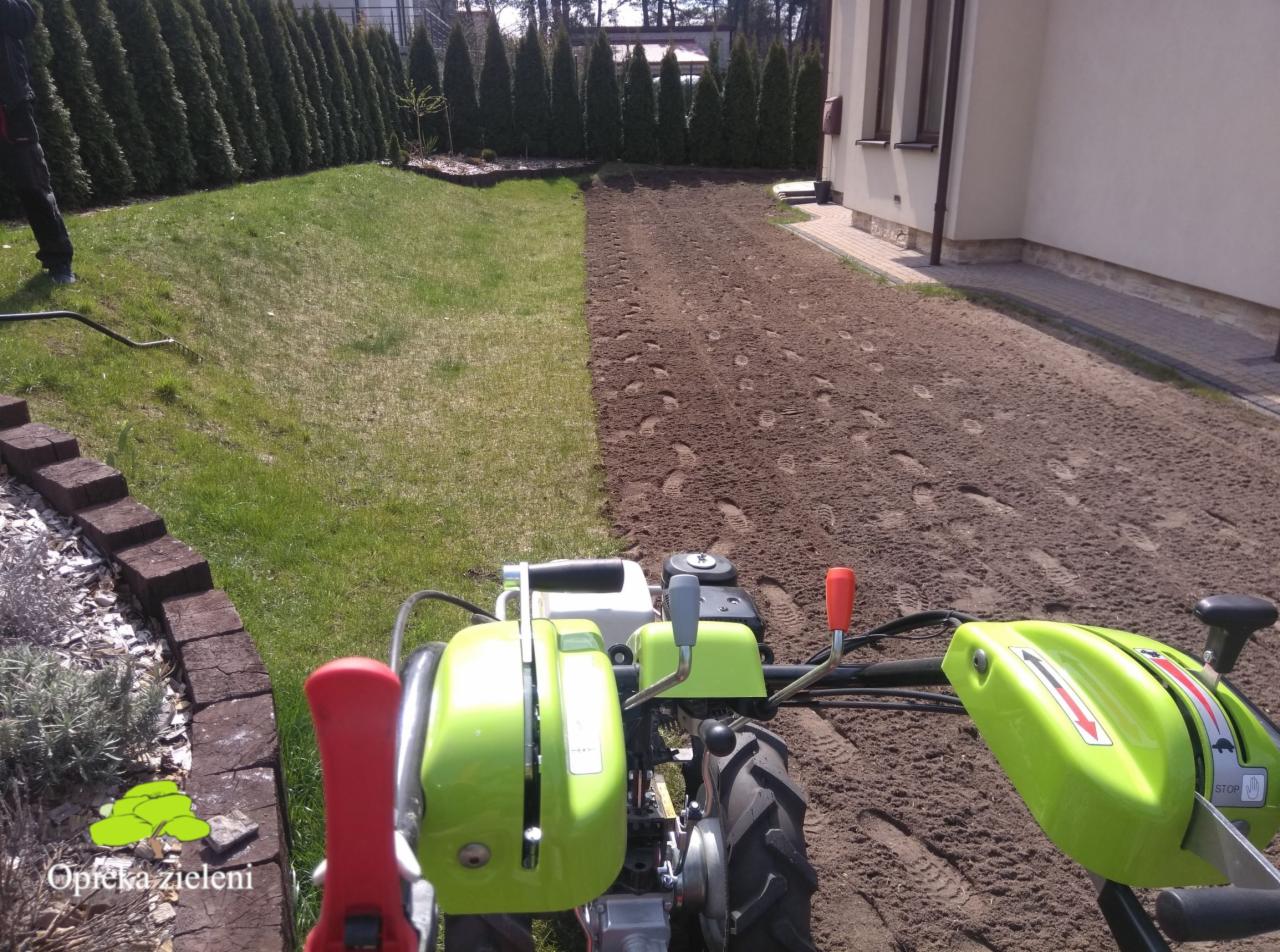 Glebogryzarka spalinowa przygotowuje ziemię pod trawnik, widoczne ślady stóp na spulchnionej glebie, obok trawnik i rząd tuj.