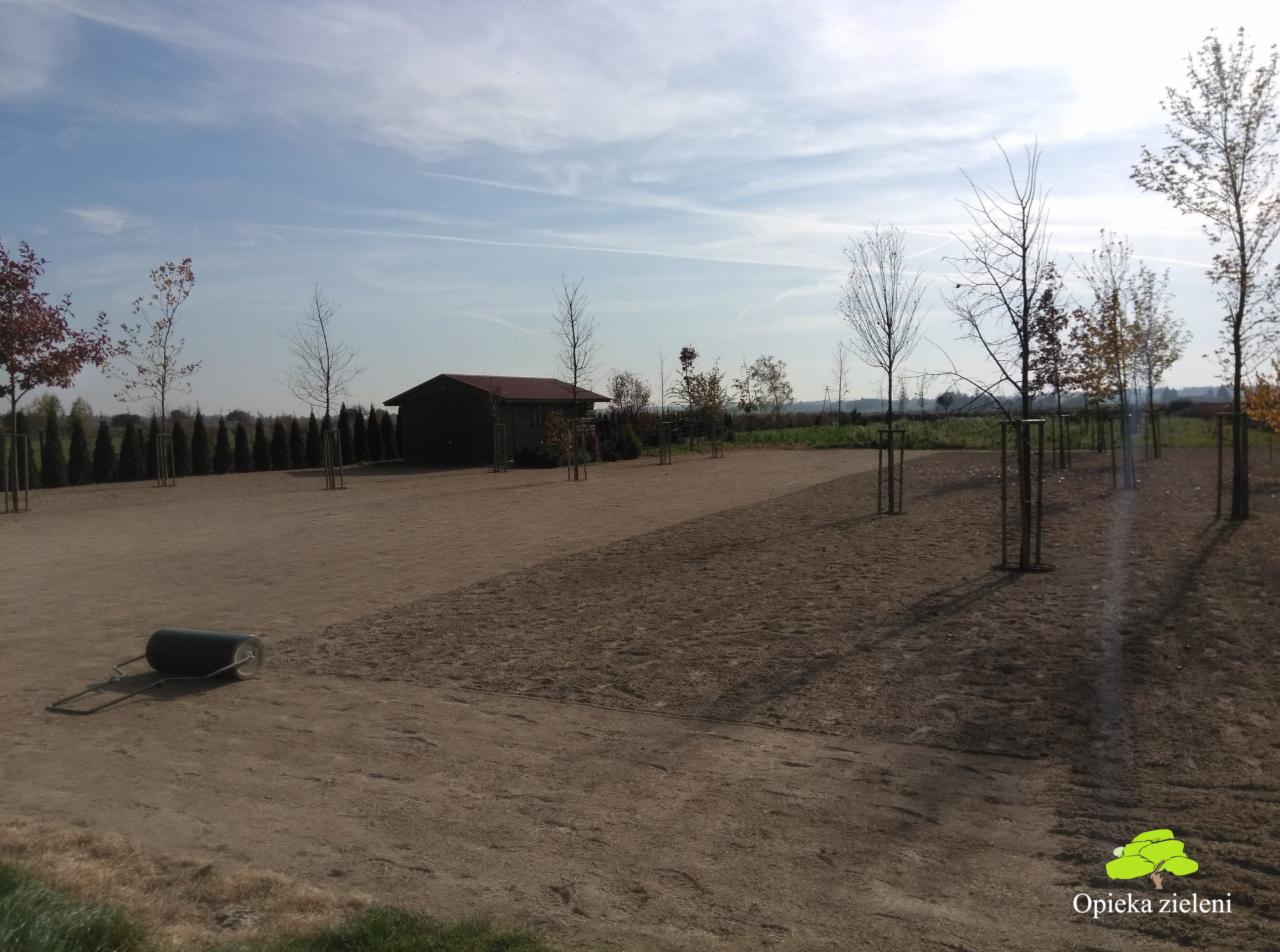 Przygotowany teren pod trawnik z widocznym wałem ogrodowym, młodymi drzewkami z podporami i budynkiem gospodarczym w tle.