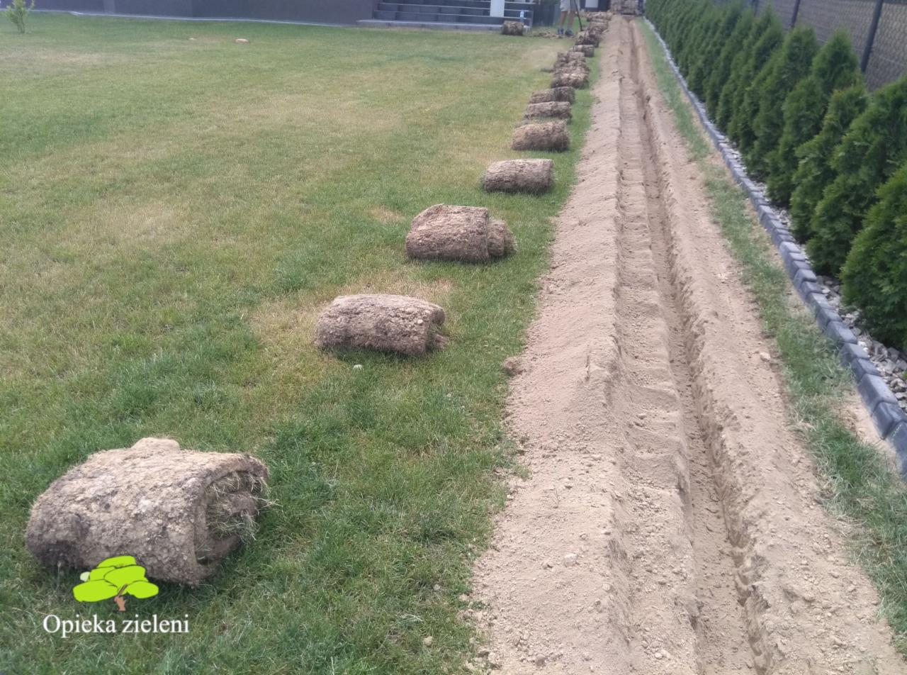 Przygotowanie podłoża pod trawnik z rolki: wykopany rów wzdłuż żywopłotu z ułożonymi obok rolkami trawy na trawniku