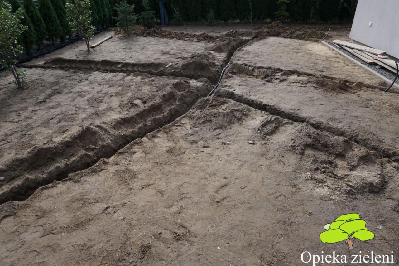 Przygotowanie terenu pod system nawadniania: wykopane rowy krzyżujące się na działce, widoczne rury, w tle rząd drzew iglastych.