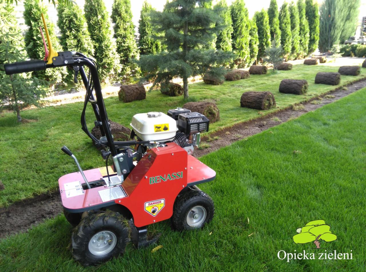 Czerwona maszyna Benassi do rozkładania trawy z rolki na trawniku, widoczne rolki trawy w rzędzie oraz rząd tuj w tle.