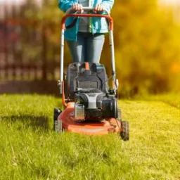 Osoba w niebieskiej kurtce prowadzi pomarańczową kosiarkę spalinową po trawniku w słoneczny dzień, z widocznym fragmentem żywopłotu w tle.