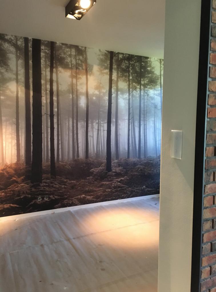 Ściana z fototapetą przedstawiającą mglisty las iglasty, widoczny fragment podłogi zabezpieczonej folią malarską oraz fragment ściany z cegły