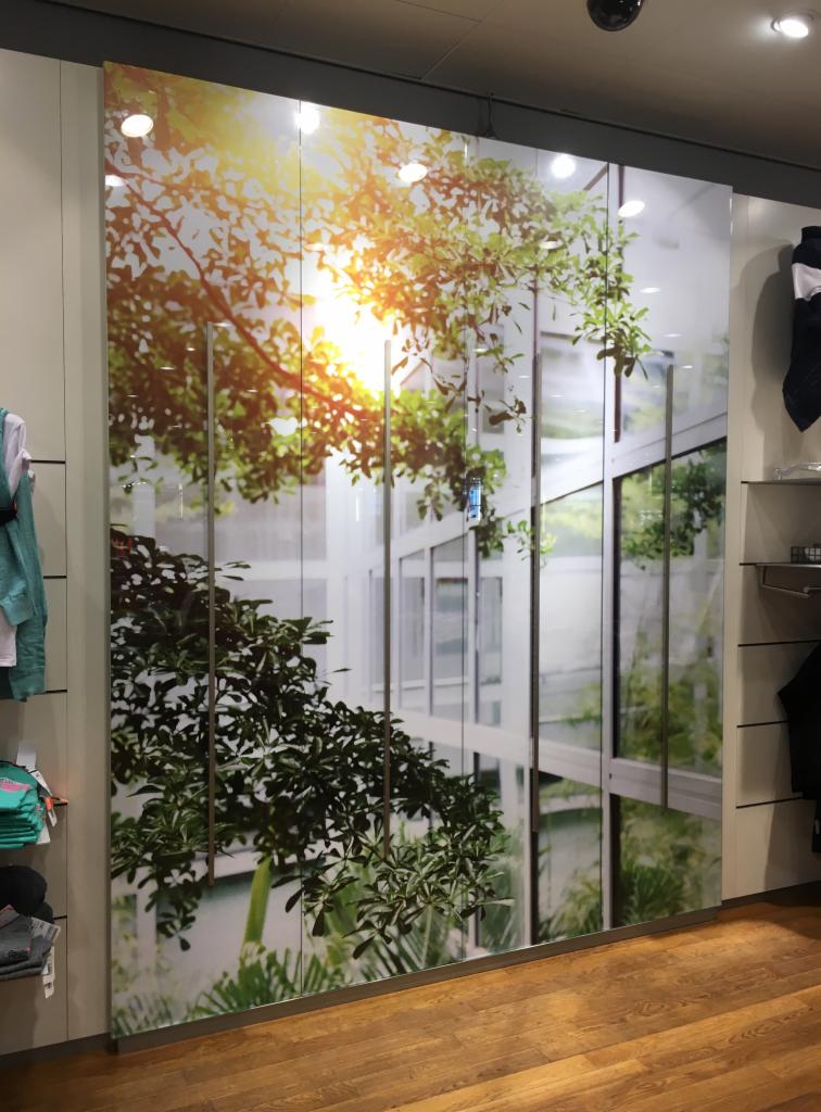 Fototapeta w sklepie odzieżowym przedstawiająca budynek biurowy widziany przez korony drzew w słoneczny dzień.