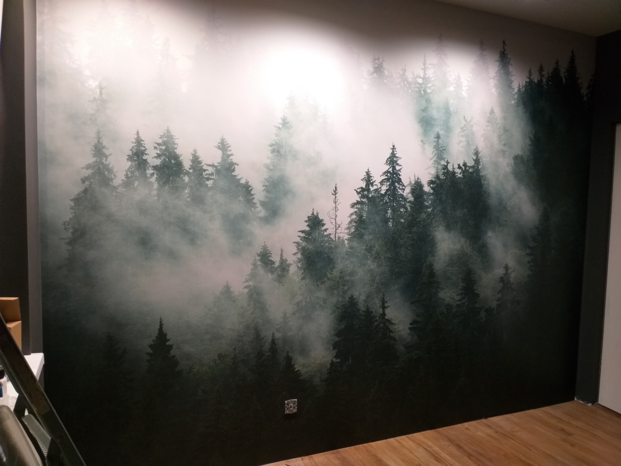 Fototapeta las we mgle, klejona na 'styk' tapeta samoprzylepna.