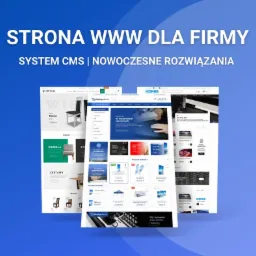 Strona www dla firmy