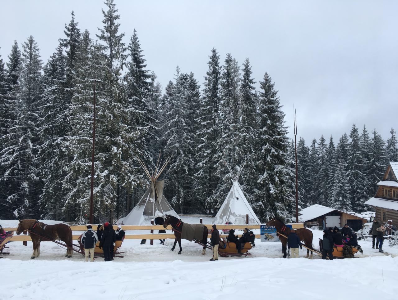 Zimowy kulig z saniami ciągniętymi przez konie, na tle ośnieżonego lasu i dwóch tipi.