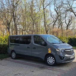 Przewozy Osobowe Karaś i Pawlak S. C. - Szary Opel Vivaro z naklejką ostrzegawczą na parkingu, otoczony zielenią i drzewami. Widoczny numer rejestracyjny pojazdu. Dzień.