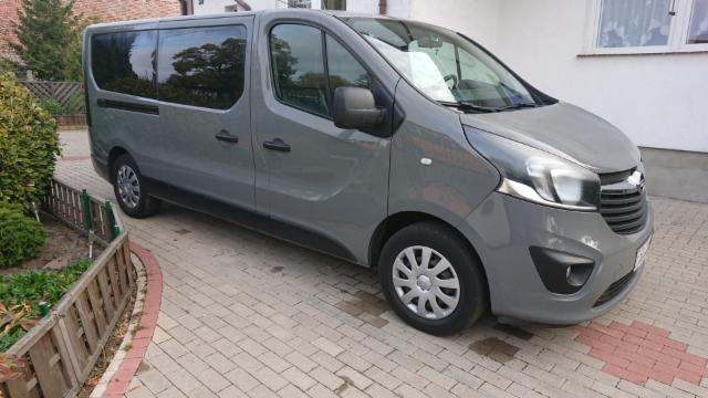 Szary Opel Vivaro, bus do transportu osób, zaparkowany na brukowanym podjeździe w Sulęcinie, widok z boku.