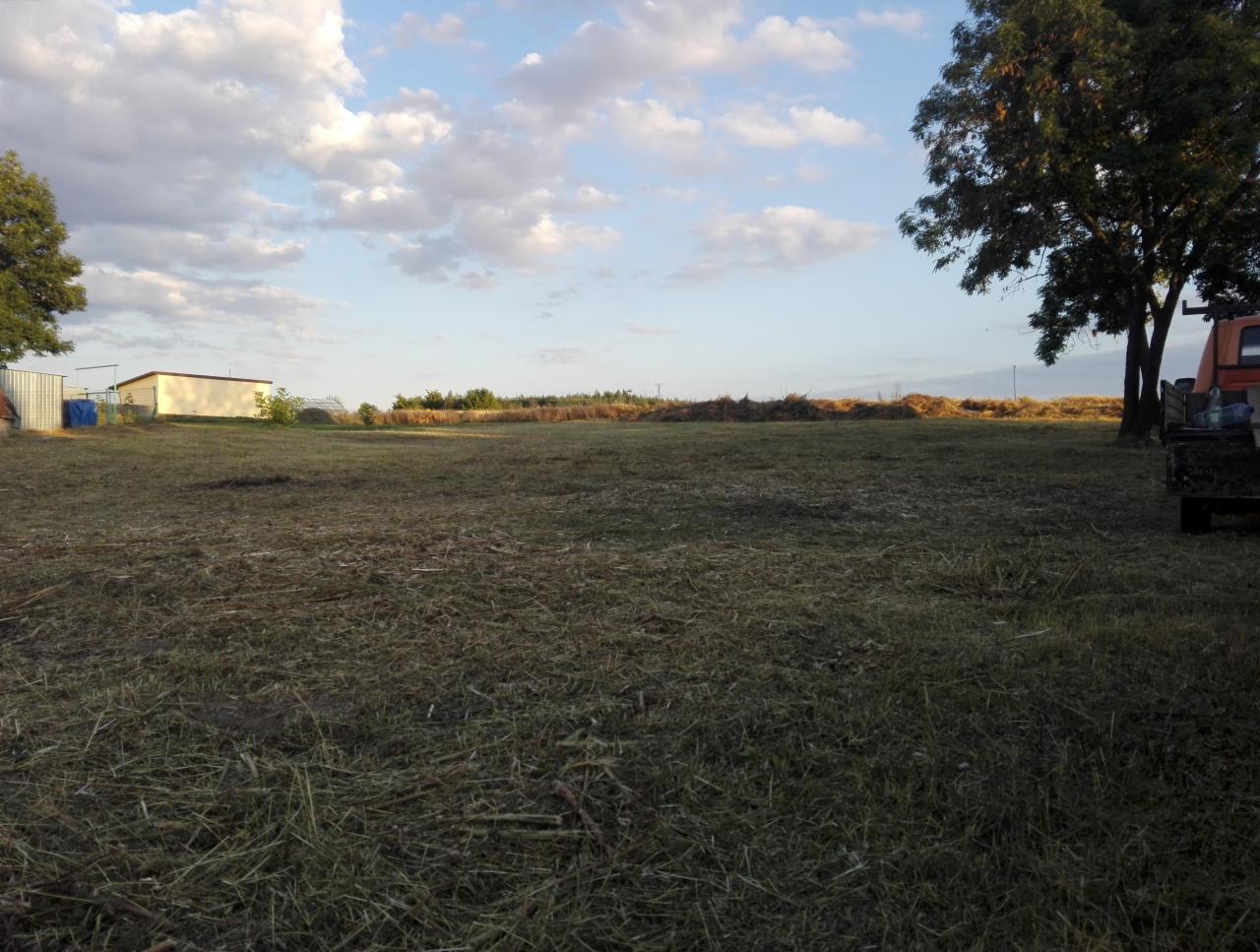 Pole po skoszeniu trawy z widocznymi resztkami skoszonej trawy, w tle budynek gospodarczy i drzewa, po prawej stronie fragment traktora.