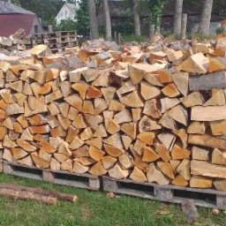 Ułożone na paletach pocięte drewno kominkowe, widoczne słoje i kora, w tle budynki gospodarcze.