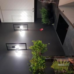 PROFI Filip Nowakowski - Szare ściany kuchni z białymi szafkami górnymi, czarnym blatem i czarną płytą indukcyjną, oświetlone dwoma nowoczesnymi lampami ściennymi i dekorowane zielonymi roślinami w doniczkach i szklanym...