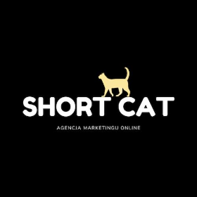 ShortCat - Fotografowanie Poznań