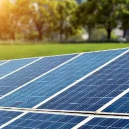 Błękitne panele słoneczne w Szczecinie, z zielonym trawnikiem i drzewami w tle, uchwycone w słoneczny dzień.