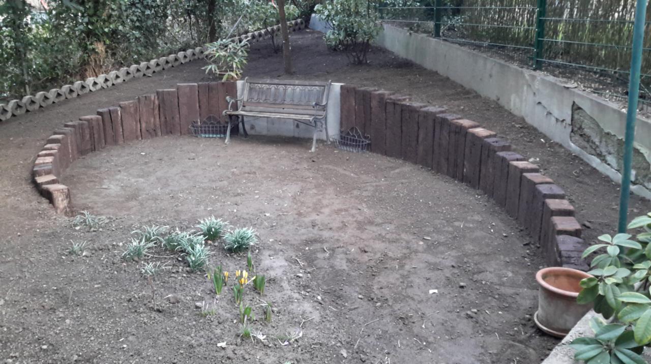 Przygotowany teren pod ogród z drewnianą palisadą, ławką i wschodzącymi roślinami.