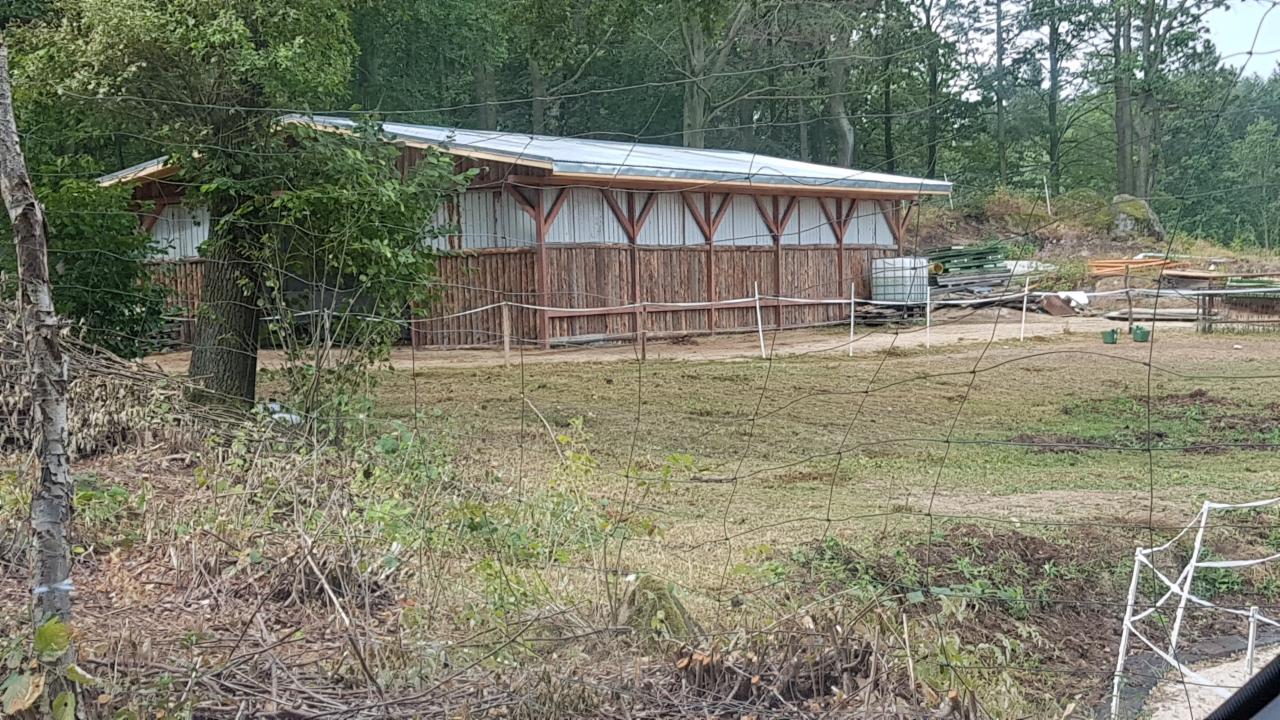 Konstrukcja z drewna i blachy trapezowej w Jeleniej Górze, widziana przez siatkę ogrodzeniową, otoczona zielenią i przygotowana do dalszych prac.