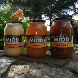 Miody Jeziorowskie 1