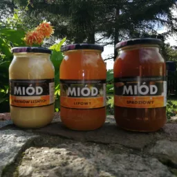 Trzy słoiki miodu: leśny, lipowy i spadziowy, ustawione na kamiennym murku w ogrodzie z kwitnącymi daliami w tle.