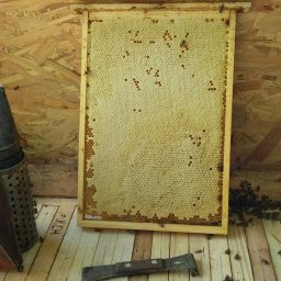 Miody Jeziorowskie 4