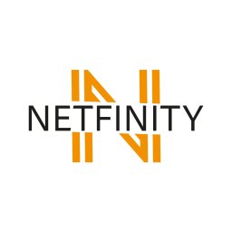 NetFinity - Wykonanie Strony Internetowej Łomianki
