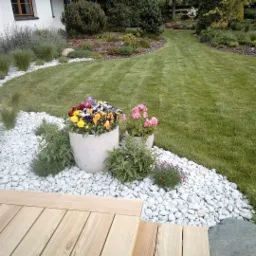 Uporządkowany ogród z równo przystrzyżonym trawnikiem, rabatami z białych kamieni, donicami z kolorowymi kwiatami (fiołki, pelargonie) oraz drewnianym tarasem w rogu kadru.