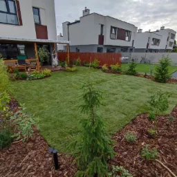 Świeżo założony trawnik z rolki w ogrodzie nowoczesnego domu, obrzeża wyłożone korą, młode drzewka i krzewy posadzone wzdłuż ogrodzenia.