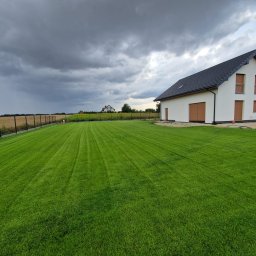 Usługi ogrodnicze Robert Starosz - Szmaragdowa zieleń