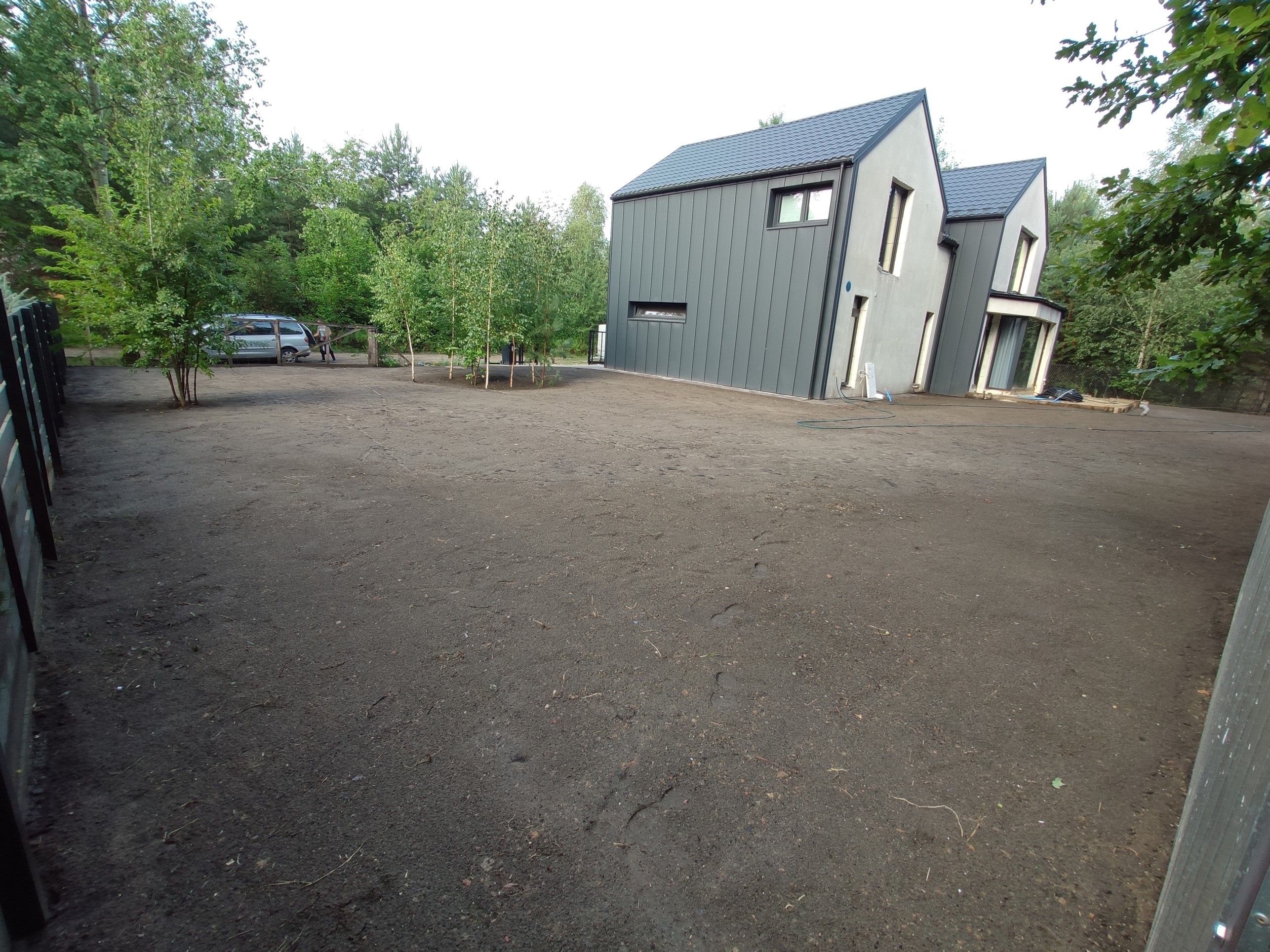 Przygotowany teren pod trawnik z posadzonymi młodymi drzewkami, nowoczesny dom w tle, widoczne ślady stóp na ziemi.