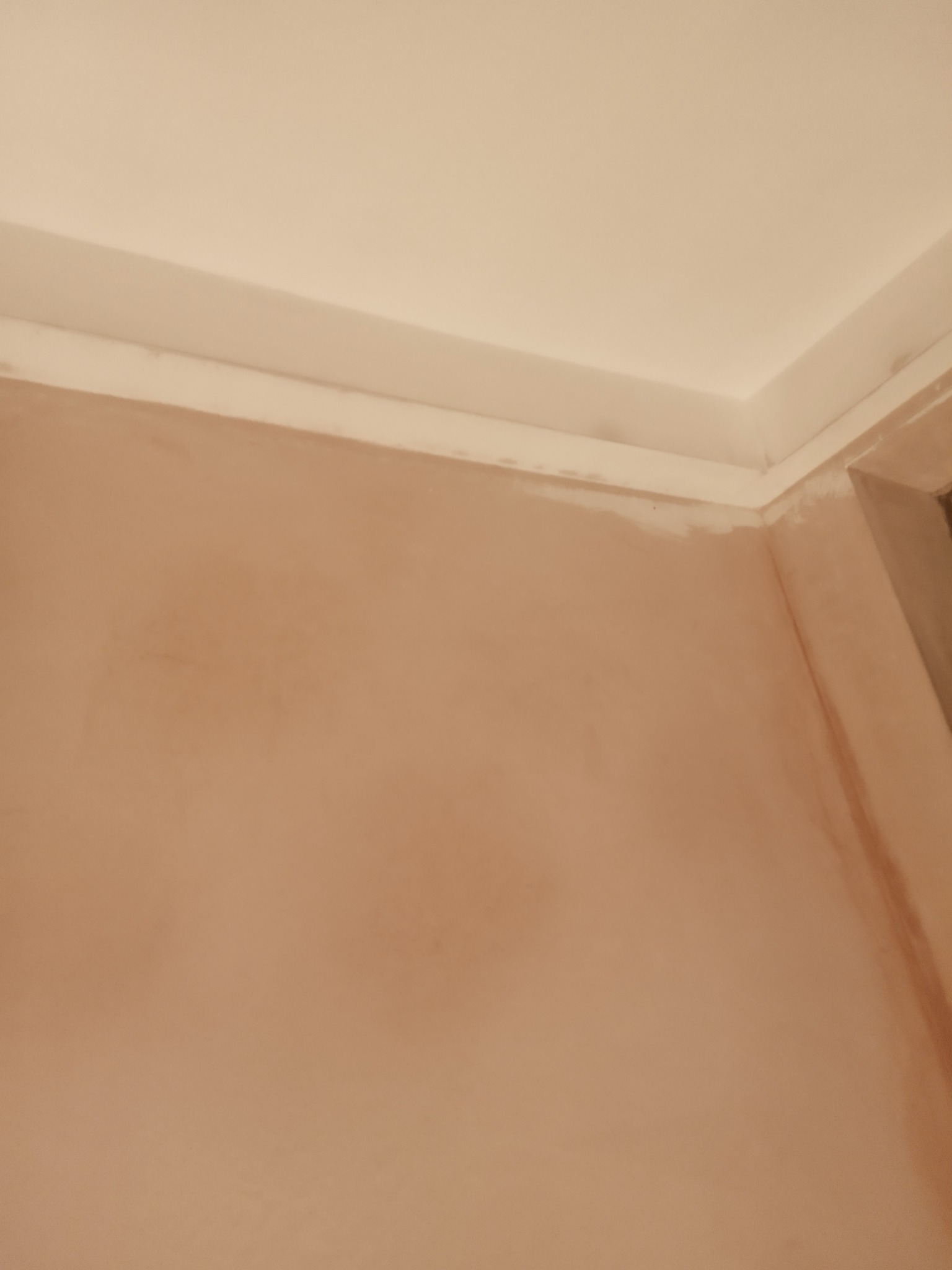 Ściana wewnętrzna po nałożeniu tynku maszynowego, widoczne niedoskonałości i nierówności przed dalszą obróbką, narożnik sufitu z listwą dekoracyjną.