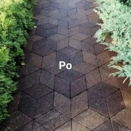 Ścieżka z kostki brukowej ułożona w geometryczny wzór 3D, obramowana niskimi, gęstymi krzewami.