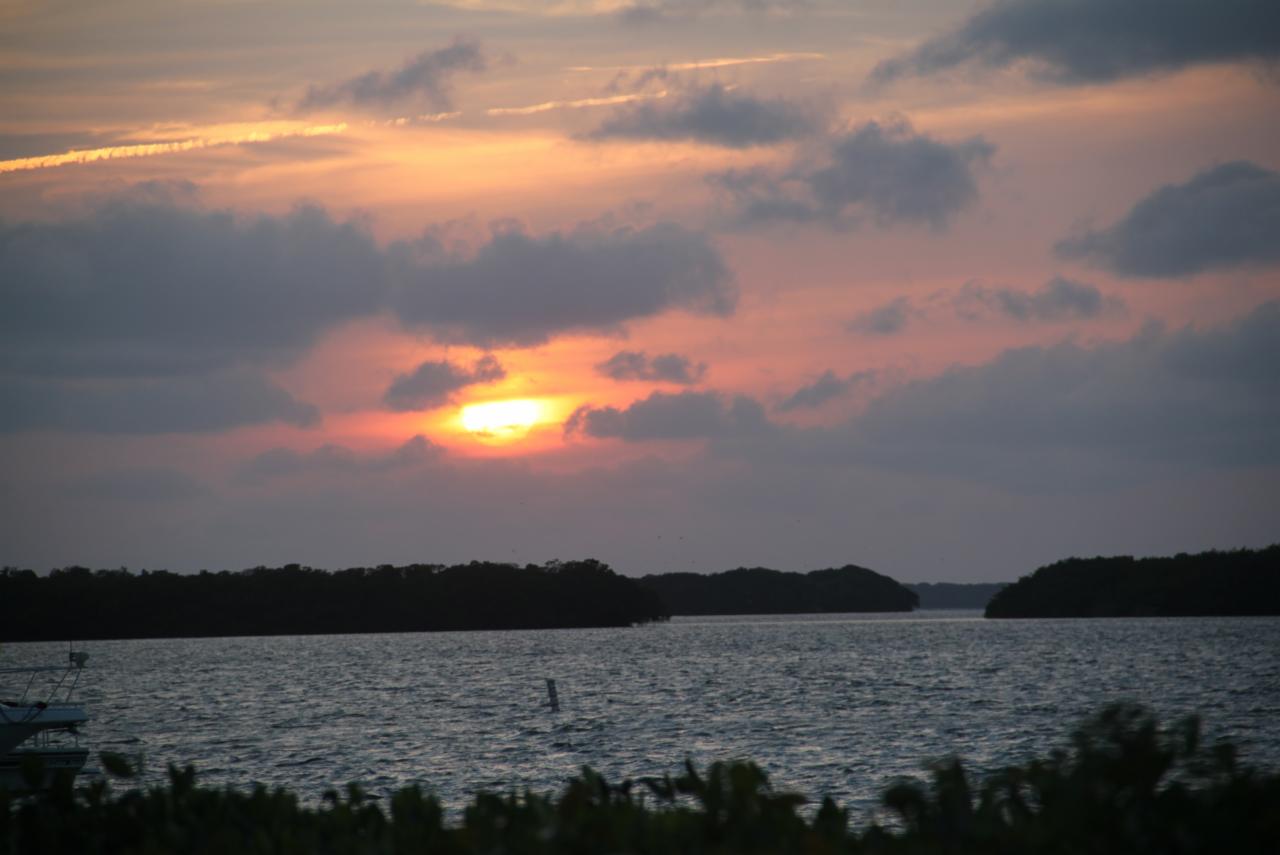 Zachód słońca nad wodą z wyspami w tle, pomarańczowe niebo z chmurami. Silhouetted trees in foreground.