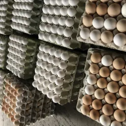 Rzędy wytłaczanek z białymi i brązowymi surowcami ułożone pionowo, widok z dołu, oświetlenie magazynowe.