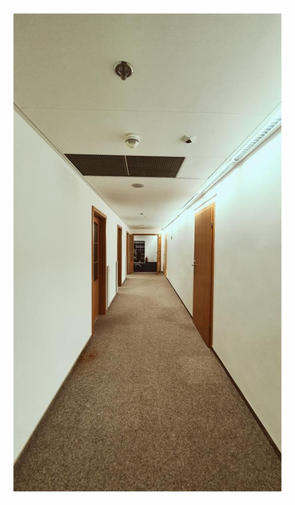 Długi korytarz biurowy z brązową wykładziną, białymi ścianami i drewnianymi drzwiami, widoczne elementy instalacji na suficie.