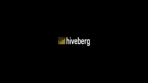 Hiveberg sp. z o.o. - Reklama internetowa Warszawa