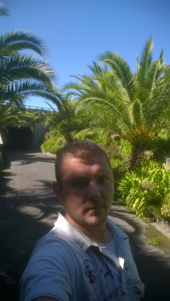 Mężczyzna na tle tropikalnej roślinności: palmy i krzewy w słoneczny dzień. W tle widoczna droga i tunel.