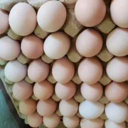 Karton z ułożonymi jasnymi, nie do końca białymi produktami spożywczymi, z jednym wyraźnie jaśniejszym egzemplarzem na dole zdjęcia.