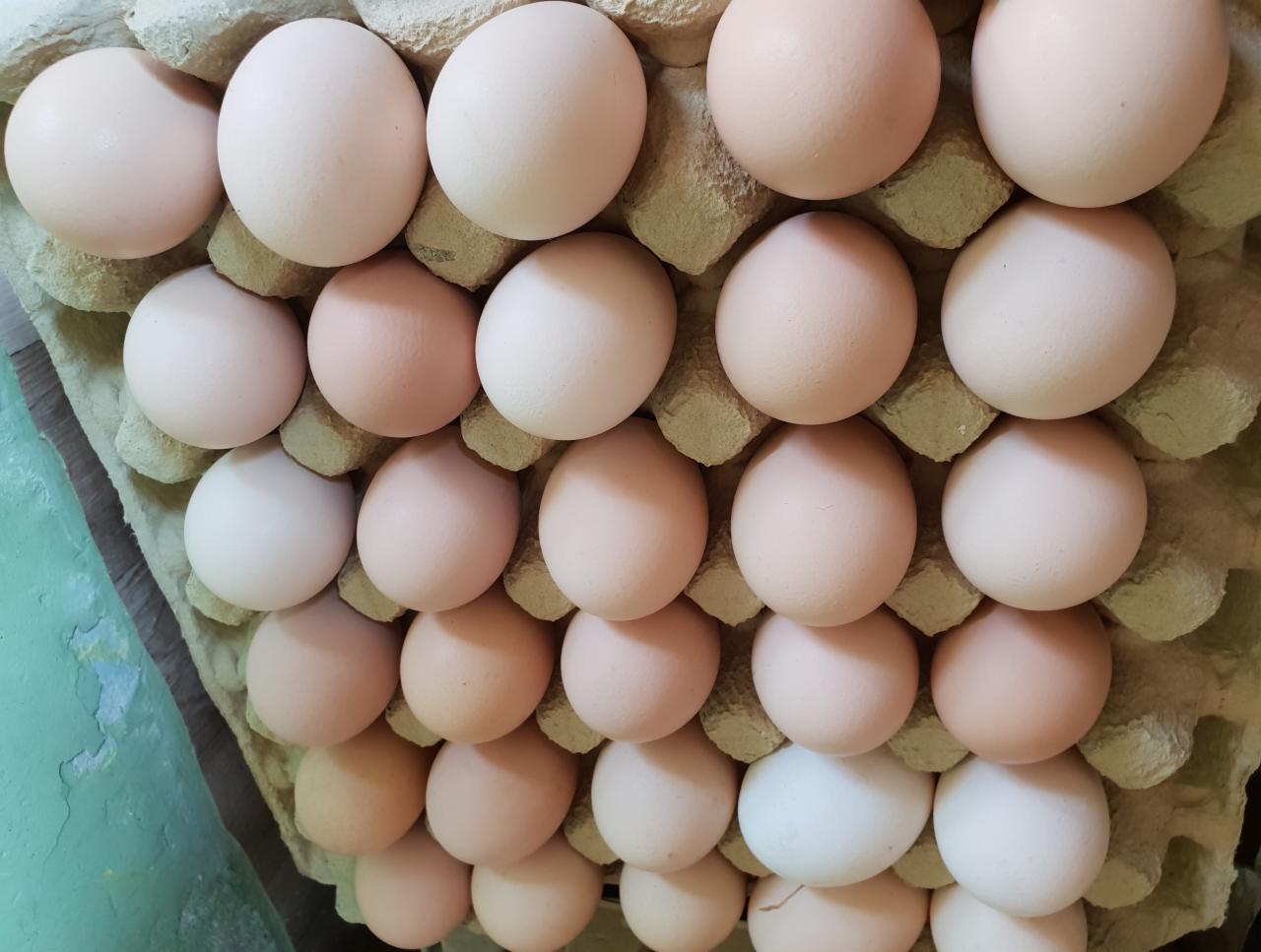 Karton z ułożonymi jasnymi, nie do końca białymi produktami spożywczymi, z jednym wyraźnie jaśniejszym egzemplarzem na dole zdjęcia.