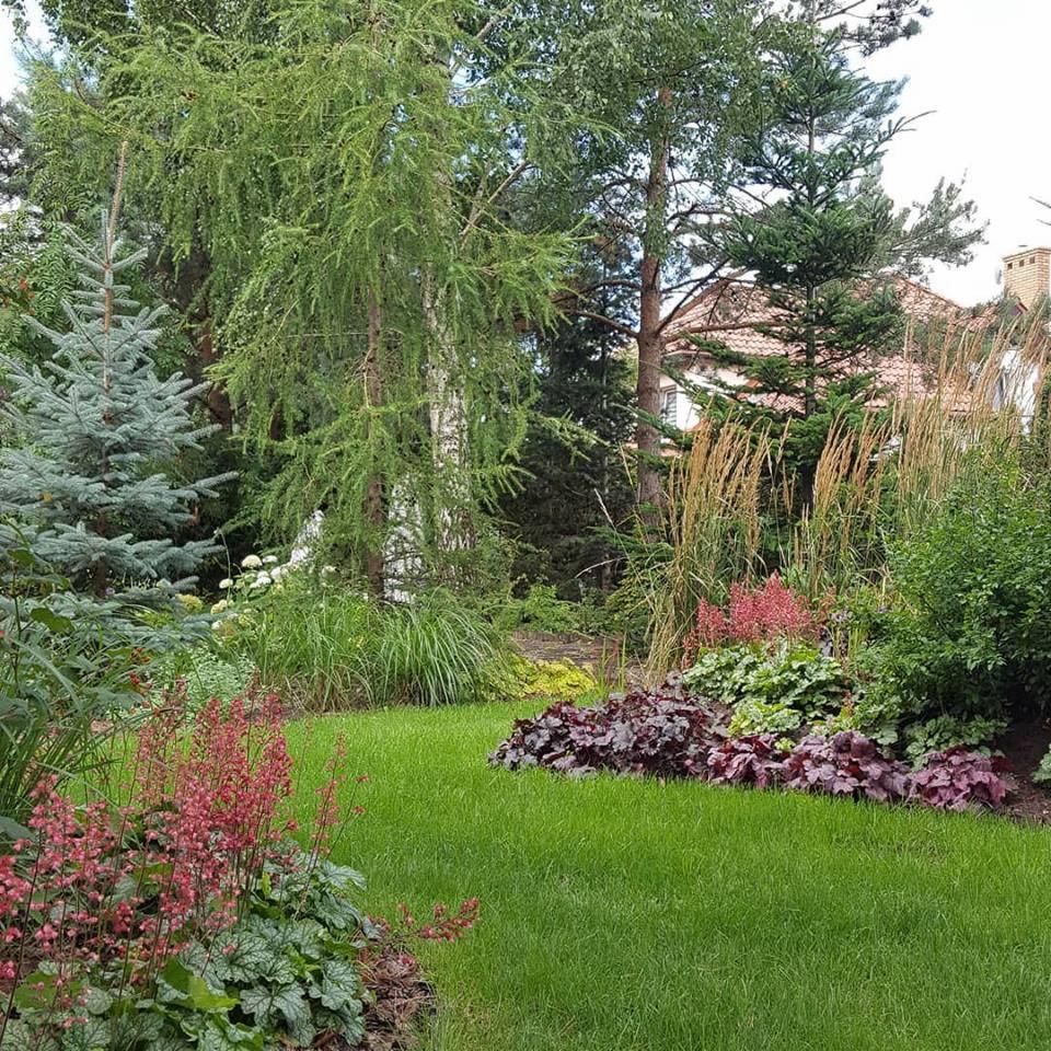 Zadbany ogród w Pisz z równo przystrzyżonym trawnikiem, ozdobnymi krzewami i drzewami iglastymi, tworzącymi malowniczy krajobraz.