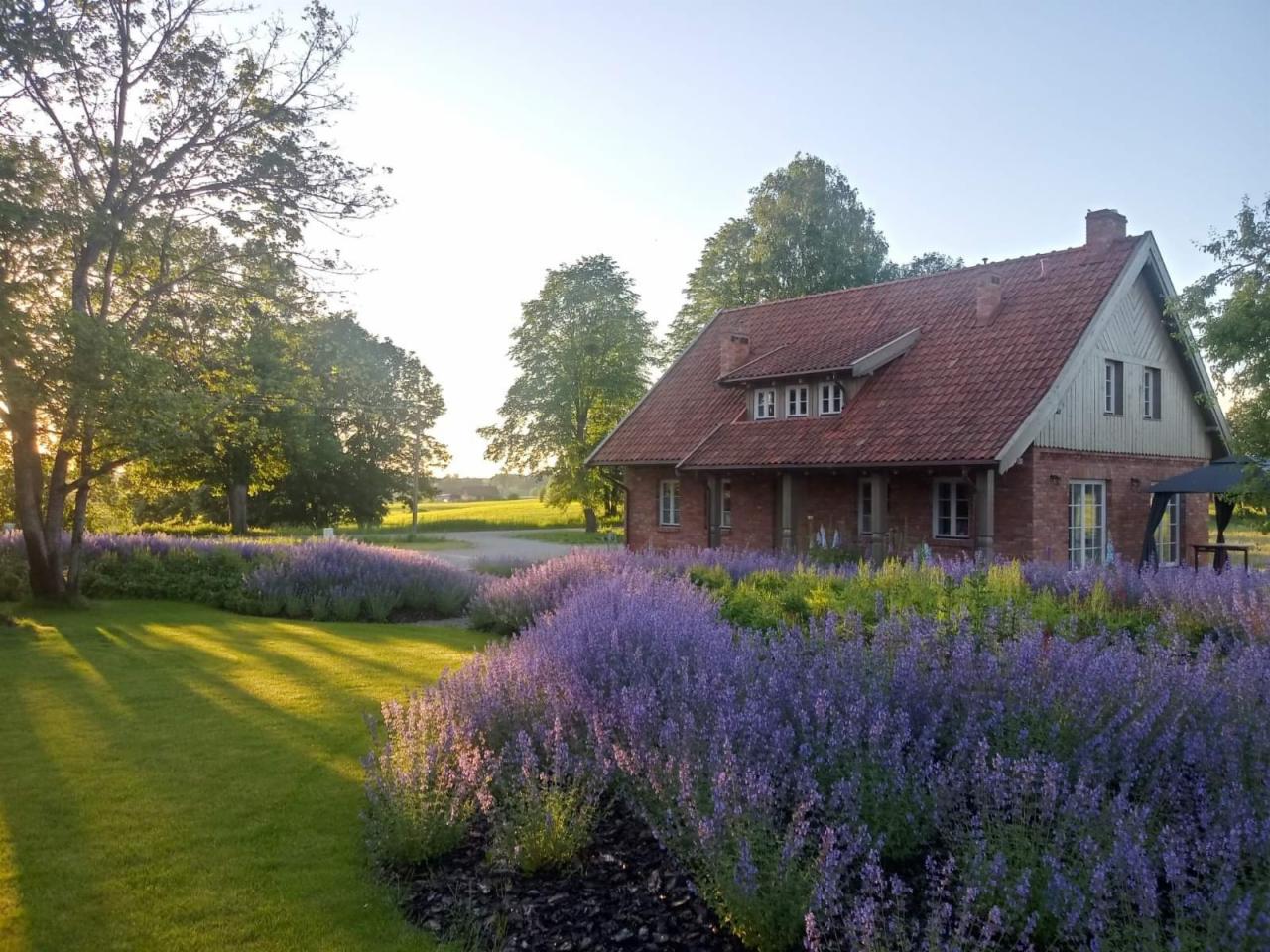 Malowniczy ogród z rabatami lawendy przed ceglanym domem z czerwoną dachówką w promieniach zachodzącego słońca.