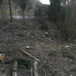 Teren po wycince drzew: pnie, gałęzie i ścięte drzewka na zboczu, w tle widoczny ekran akustyczny.