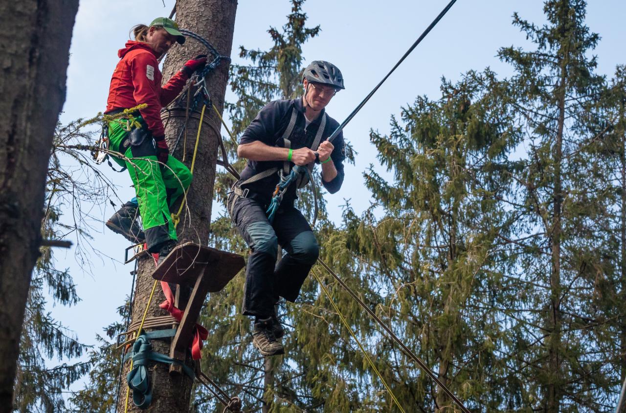Dwie osoby w uprzężach wspinają się na drzewo po drewnianych platformach i linach w parku linowym, z widocznymi drzewami iglastymi w tle.
