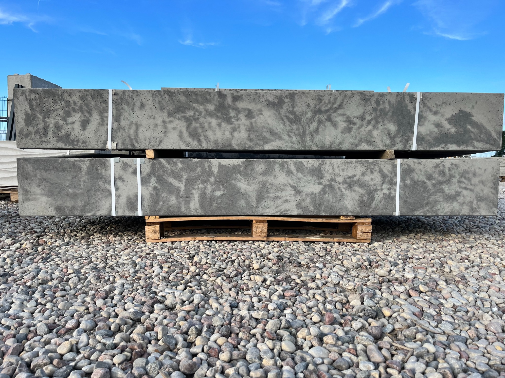 podmurówka łaciata