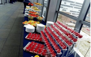 Stół cateringowy z różnorodnymi przekąskami: kanapeczki z czerwonym nadzieniem ułożone w rzędach na przezroczystych stojakach, sałatki i owoce na wyższych poziomach, białe talerze w stosach, widok...