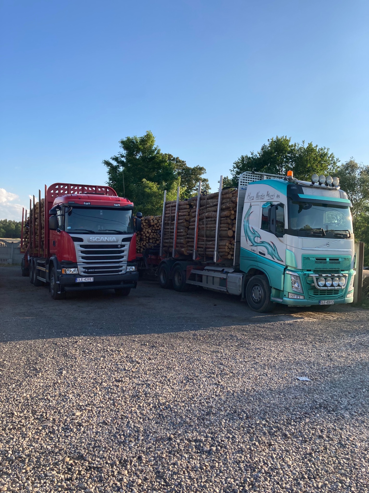 Dwa samochody ciężarowe Scania i Volvo z ładunkiem drewna na żwirowym placu w słoneczny dzień.