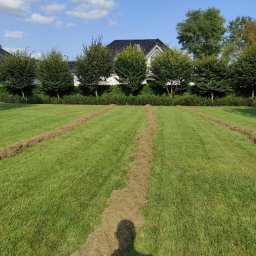 Wertykulacja trawnika